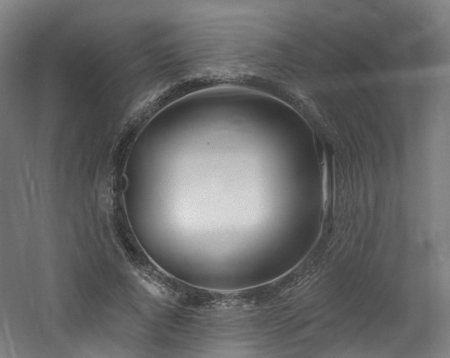 X0000060760736200511101139