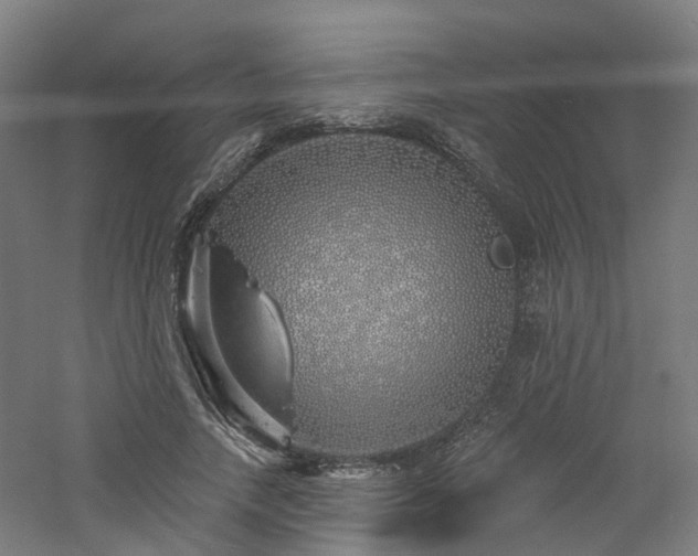 X0000060760738200511101139