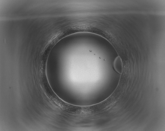 X0000060760739200511101139