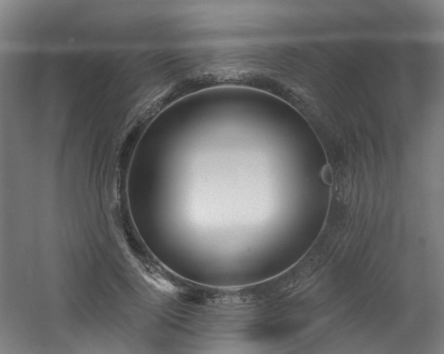 X0000060760740200511101139