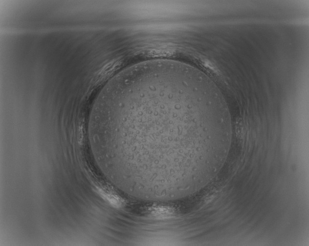 X0000060760741200511101139