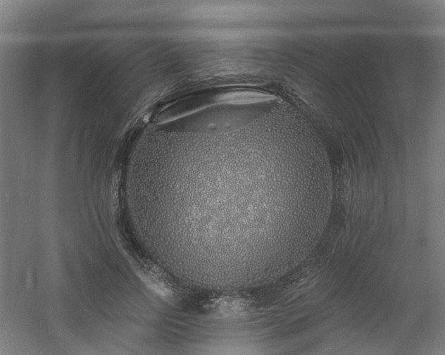 X0000060760742200511101139