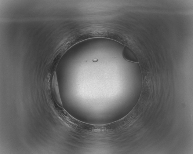 X0000060760744200511101139