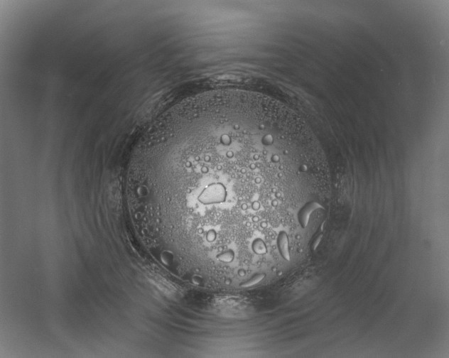 X0000060760753200511101139