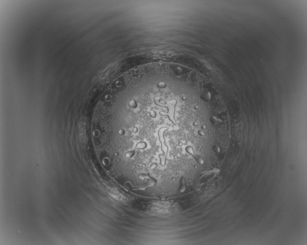 X0000060760757200511101140