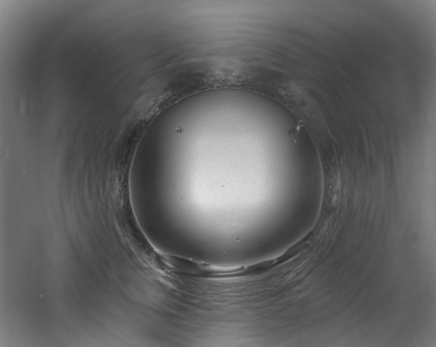 X0000060760759200511101140