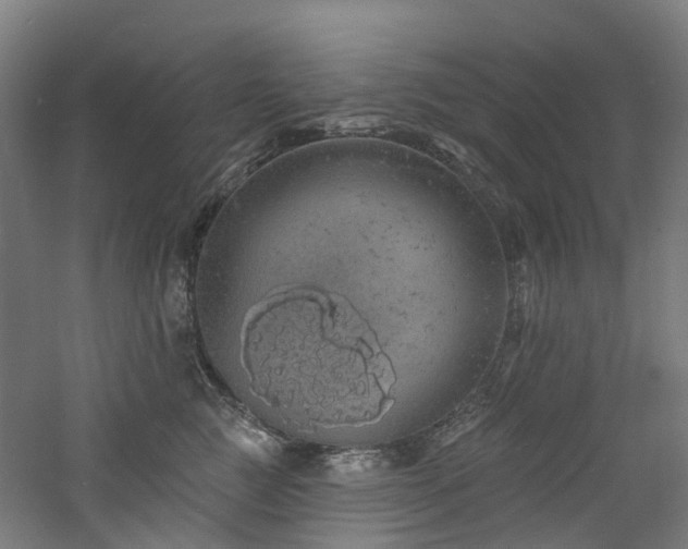 X0000060760761200511101140