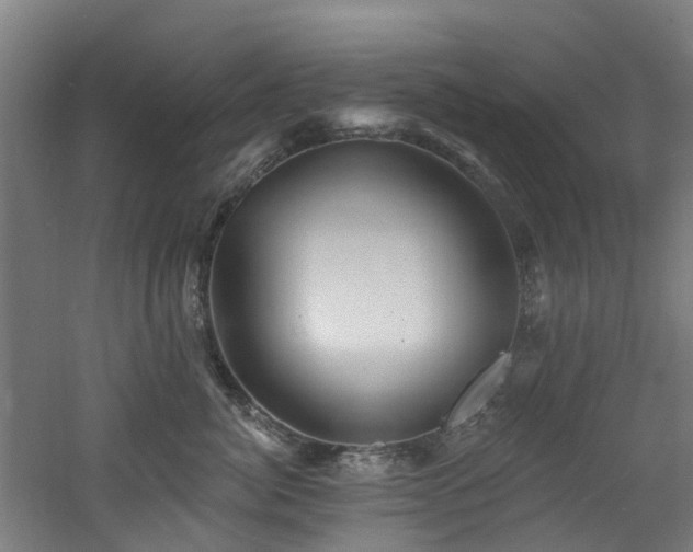 X0000060760764200511101140