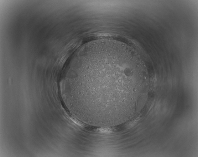 X0000060760765200511101140