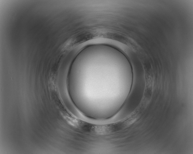 X0000060760766200511101140