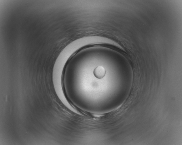 X0000060760768200511101140