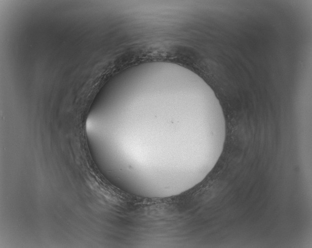 X0000060760769200511101139