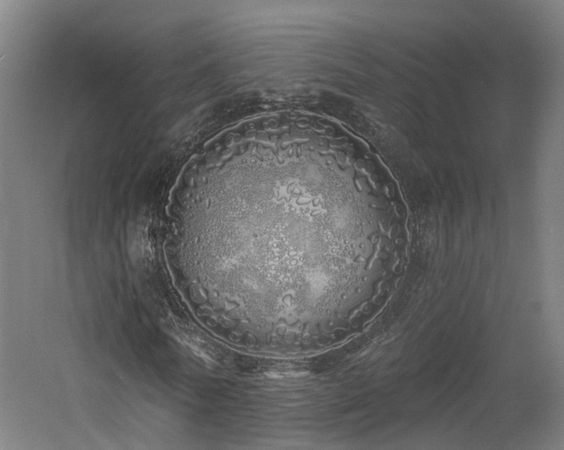 X0000060760770200511101139