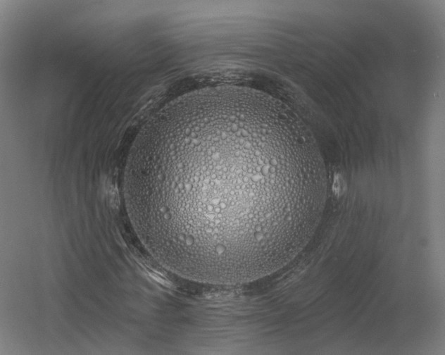 X0000060760771200511101139