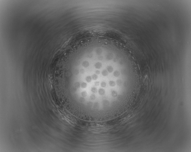 X0000060760772200511101139