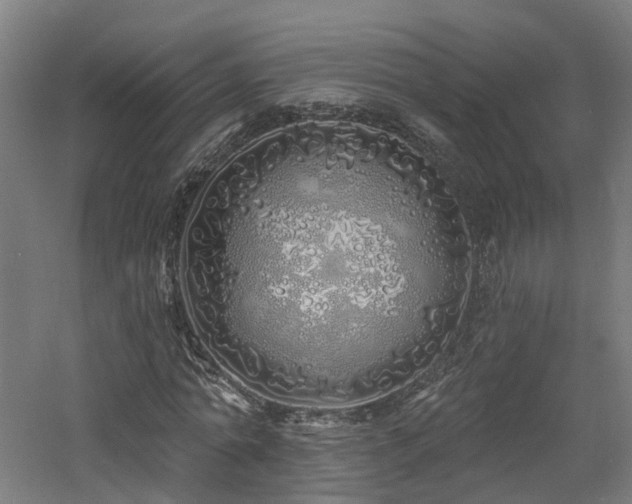 X0000060760774200511101139