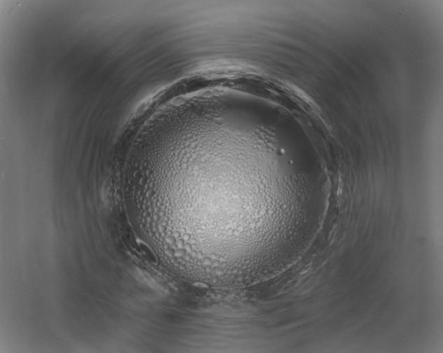 X0000060760775200511101139