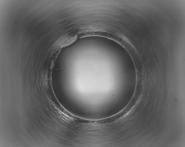 X0000060760777200511101139