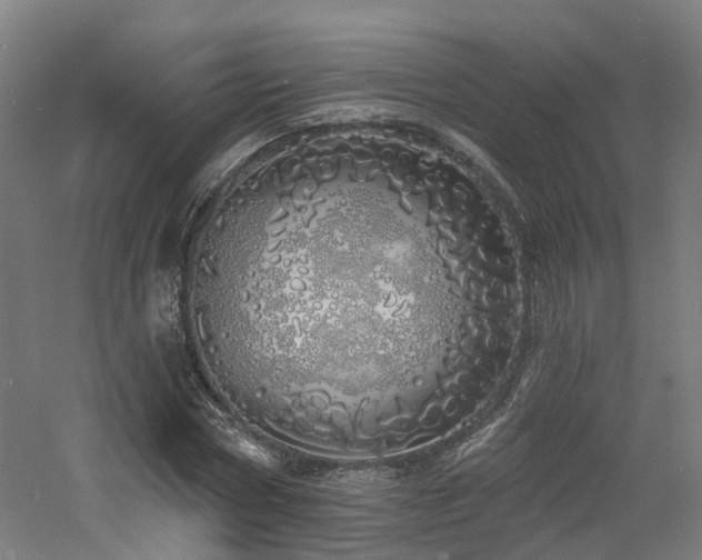 X0000060760778200511101139