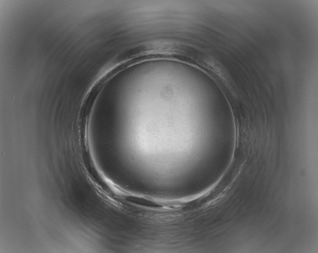 X0000060760779200511101139