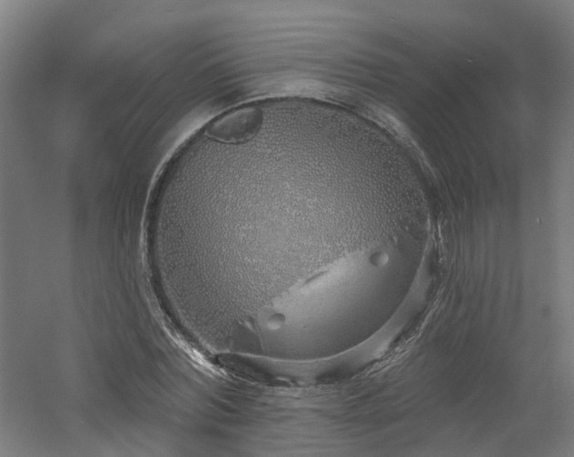 X0000060760780200511101139