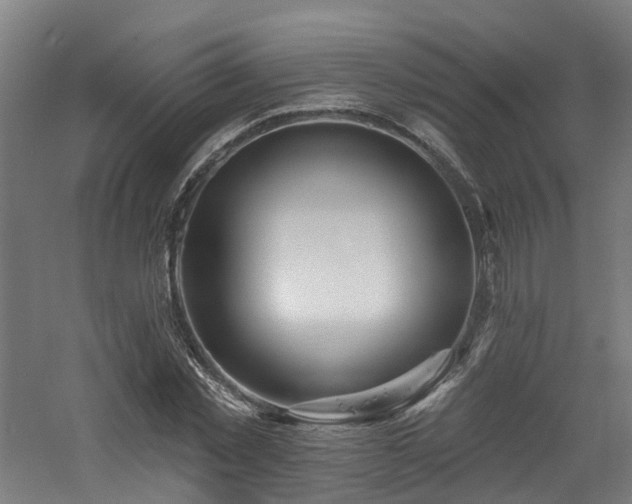 X0000060760781200511101139