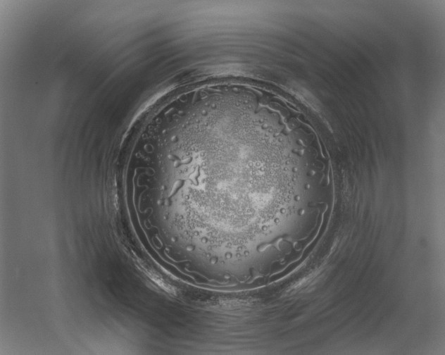 X0000060760782200511101139