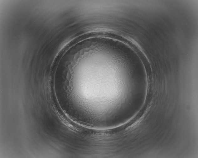 X0000060760783200511101139