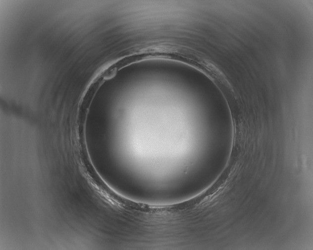 X0000060760784200511101139