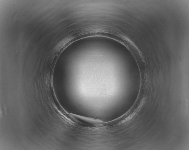 X0000060760785200511101138