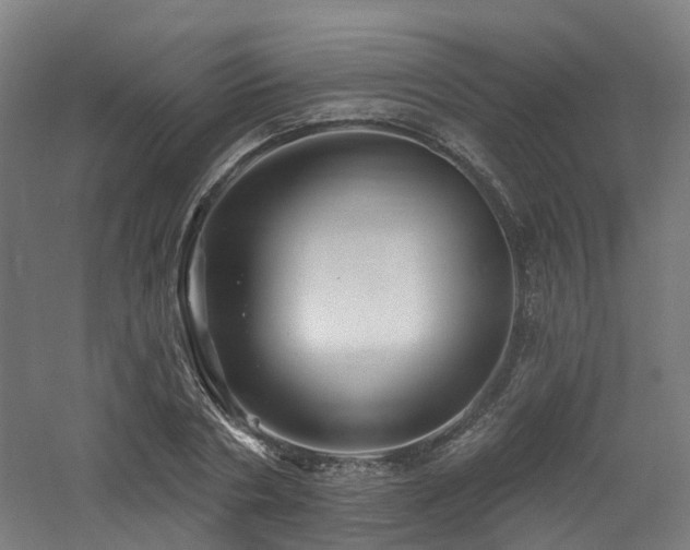 X0000060760786200511101138