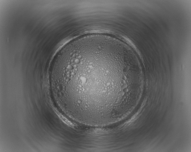 X0000060760787200511101138