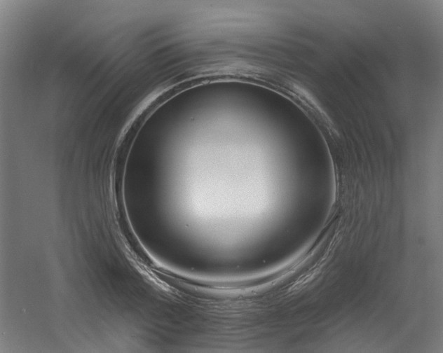 X0000060760788200511101138