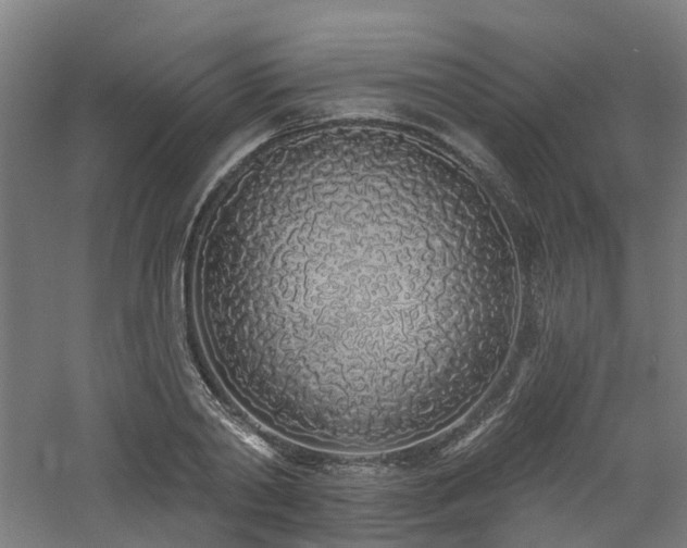 X0000060760790200511101138