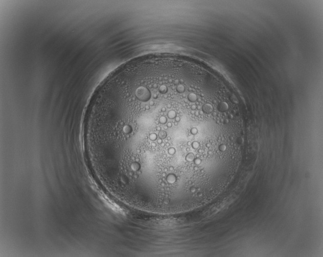 X0000060760791200511101138