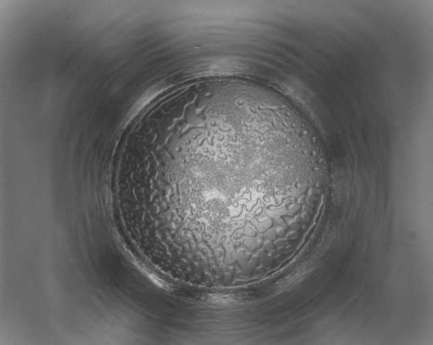 X0000060760794200511101138