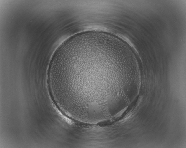 X0000060760799200511101138