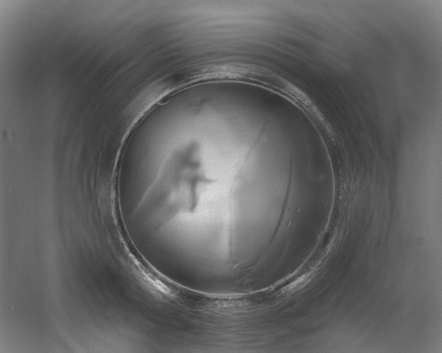 X0000060760802200511101138