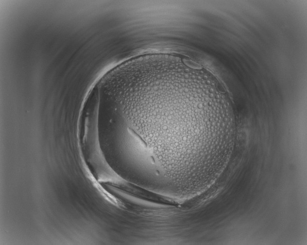 X0000060760803200511101138