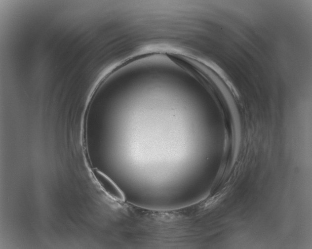 X0000060760815200511101138