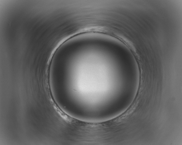 X0000060760816200511101138