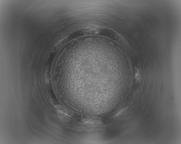 X0000060760819200511101137