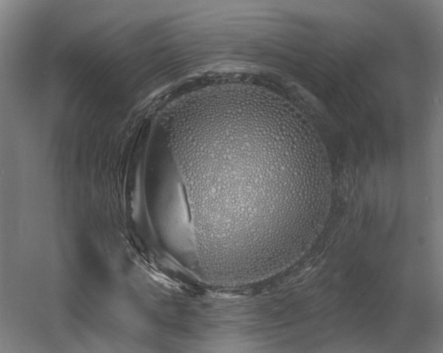 X0000060760821200511101137