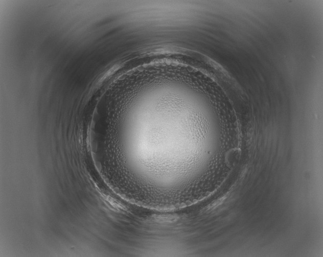 X0000060760825200511101137