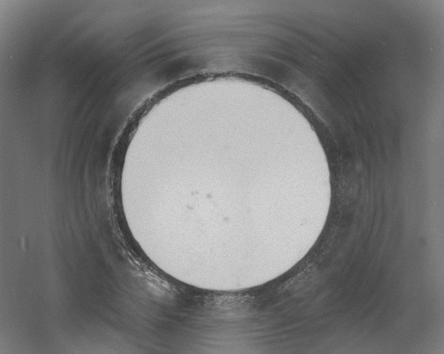 X0000060760832200511101137