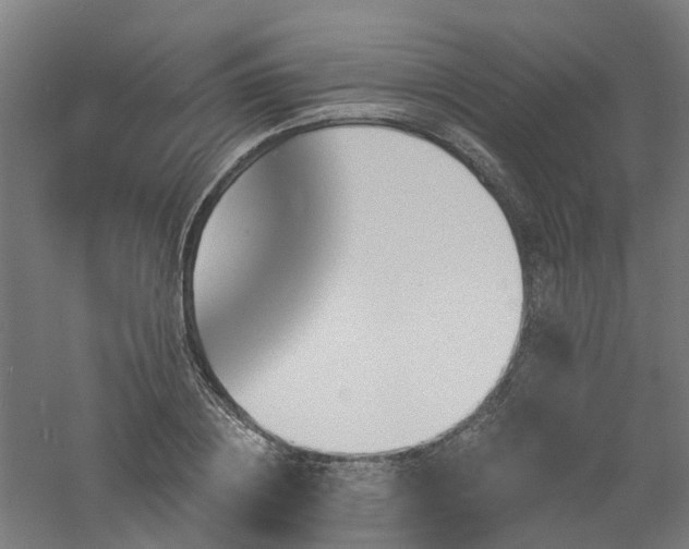 X0000060760836200511101137