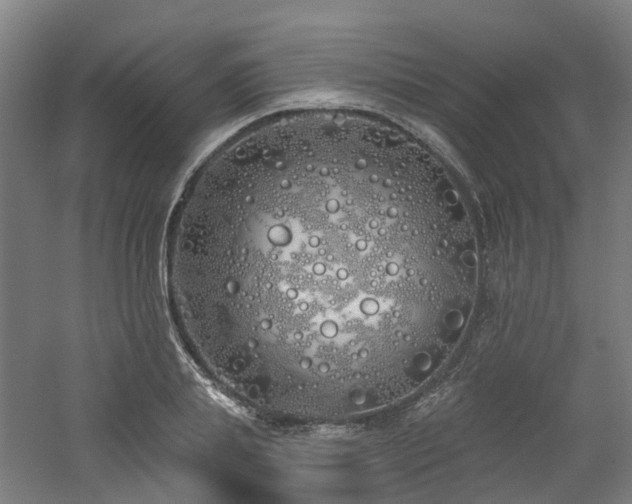 X0000060760839200511101138