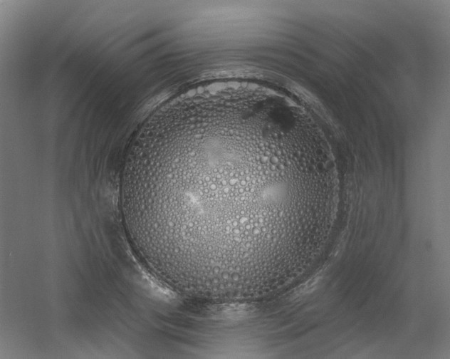 X0000060760841200511101138