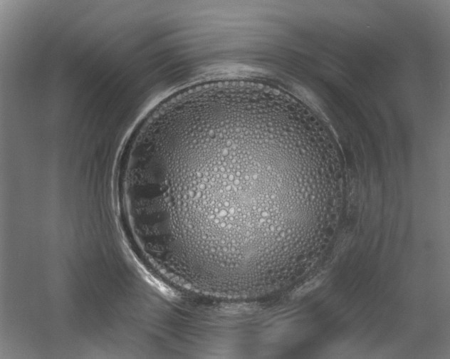 X0000060760843200511101138