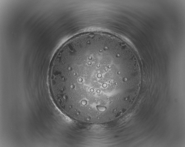 X0000060760847200511101138